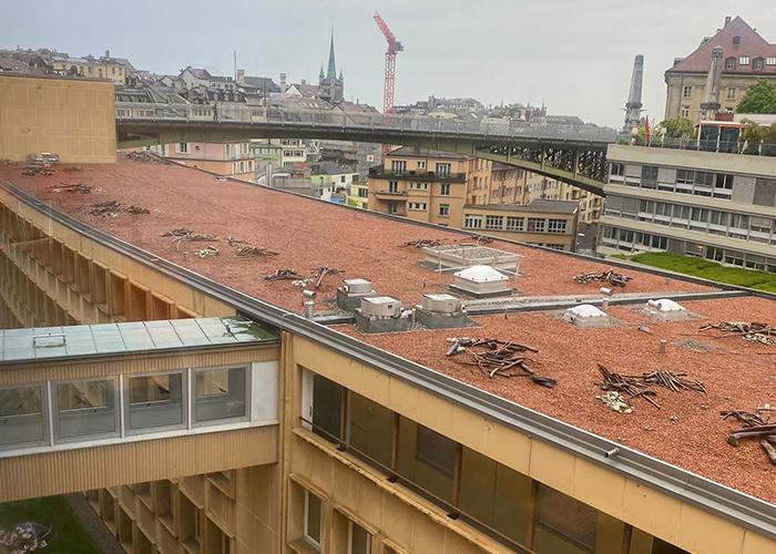 Étanchéité Lausanne - Entreprise L'Artisan Étanchéité Sàrl